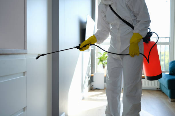 Best Professional Mold Removal  in USA